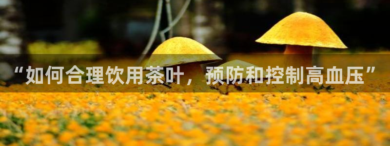 下载安信12