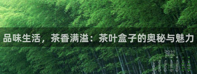 安信12专用挂机