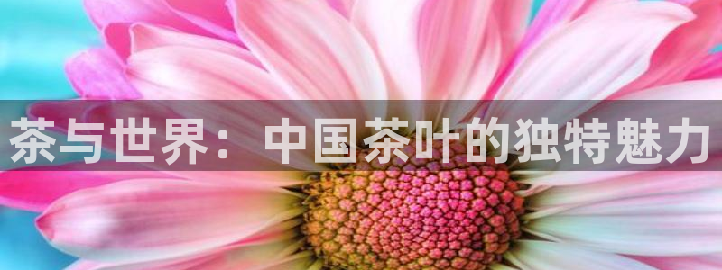 安信安盈12最新消息