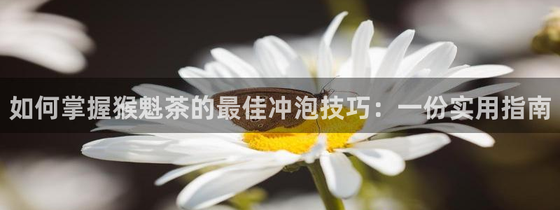 安信12招商