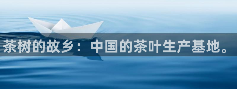 安信12平台开户