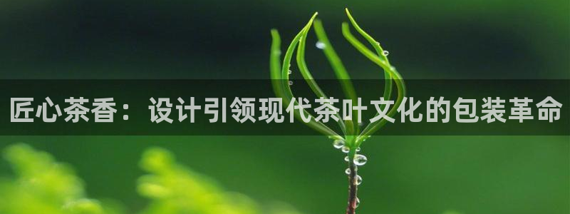 安信12官方下载