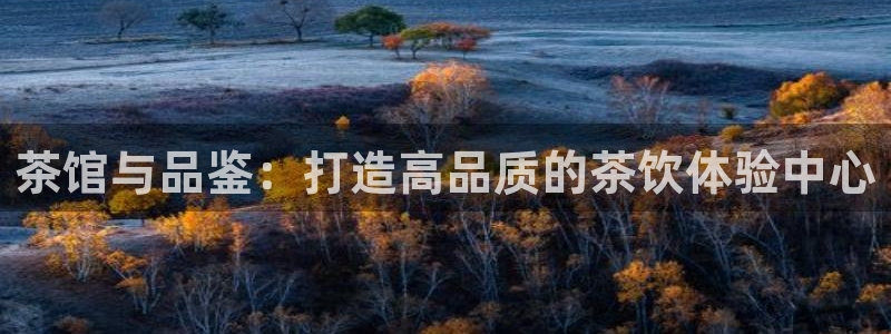 安信12app下载