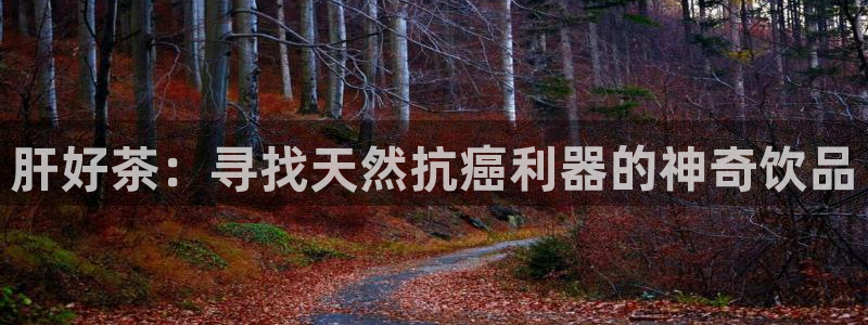 安信12娱乐平台