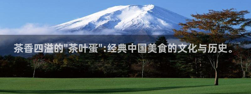 安信可wb12
