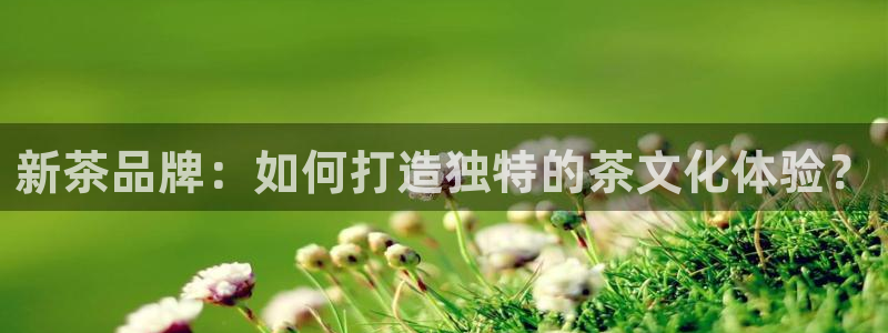 安信312 12