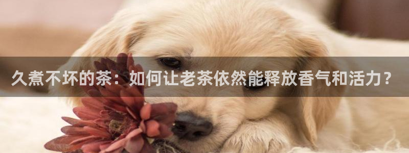 安信12包赔