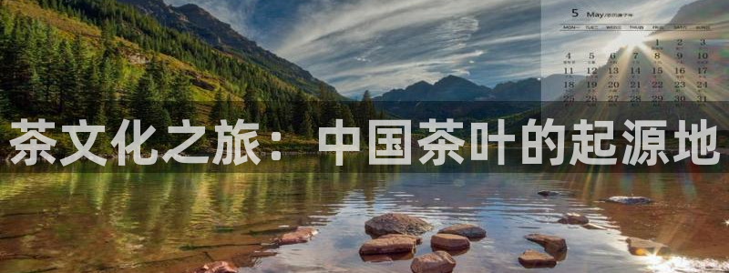 安信12平台介绍