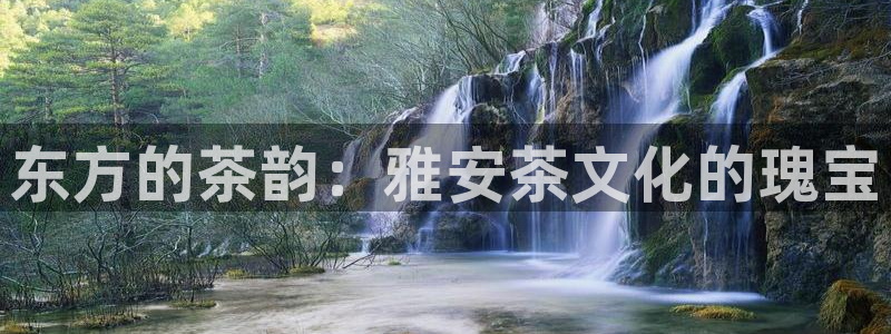 信安12