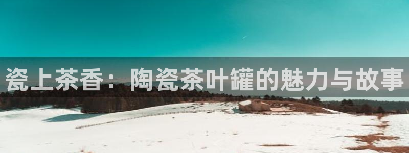 安信12官方网站查询