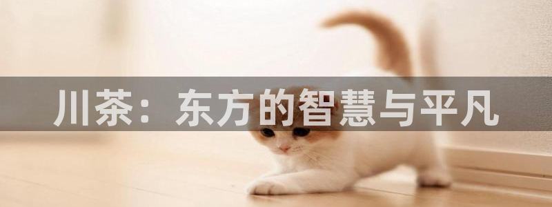 安信锐赢134号12月