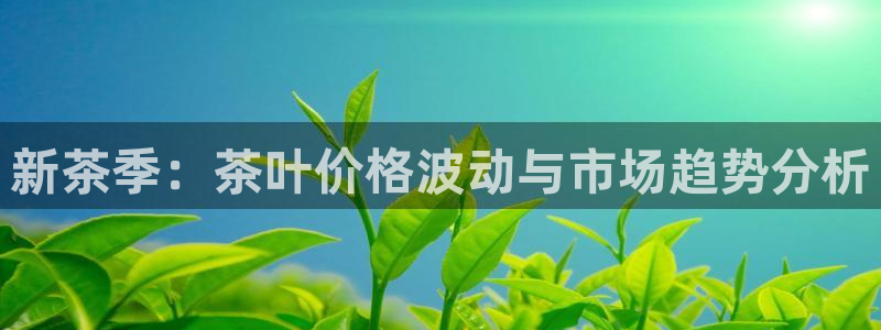 安信12是什么软件