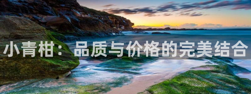 安信可wb12