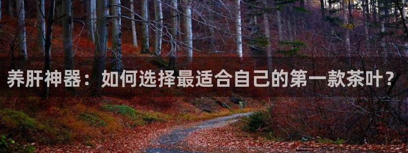 12月安信推荐