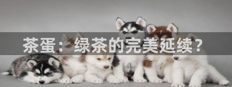 安信安盈12最新消息