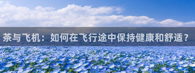 安信12怎么注册