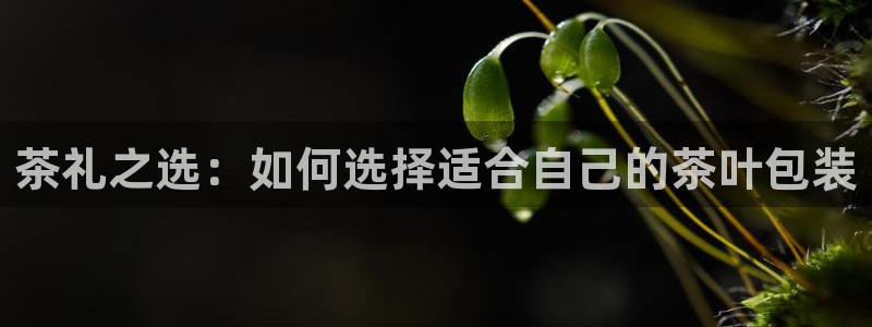 安信cw12系列