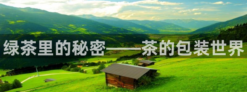 安信可12e12f