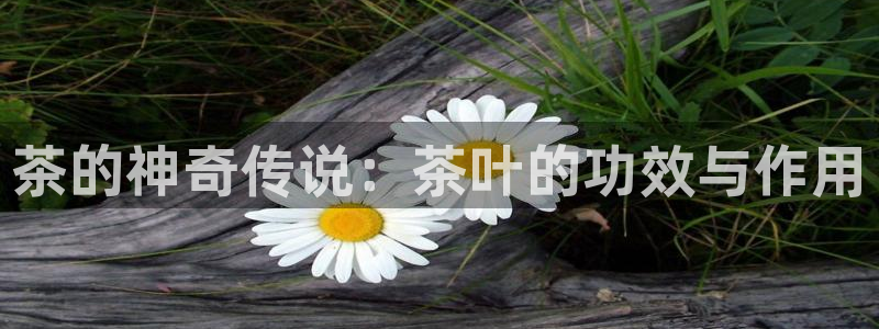 安信12位资金账号