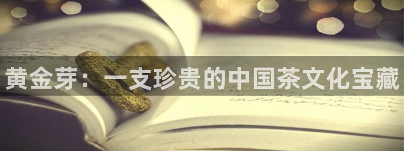信安12乐打棒