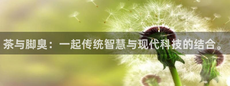 安信4特邀55 12