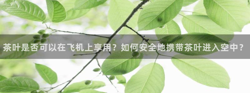 安信12正版下载