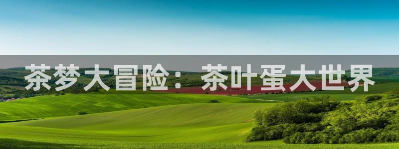 安信12平台介绍