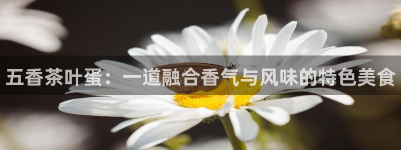 安信esp12k