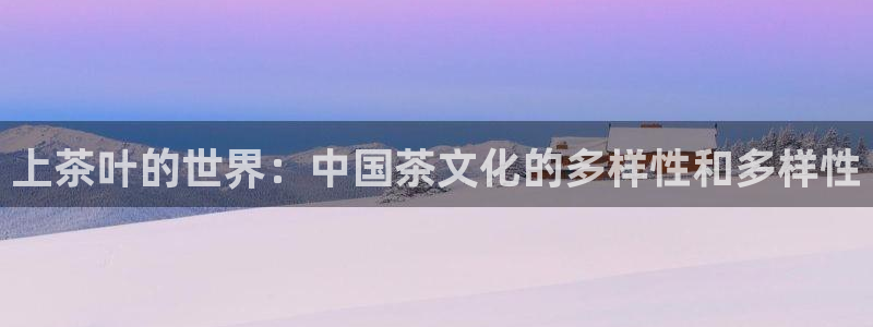 安信12级大众