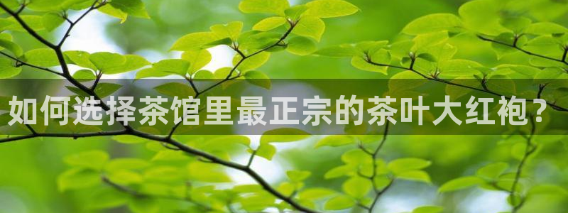 安信12如何开代理