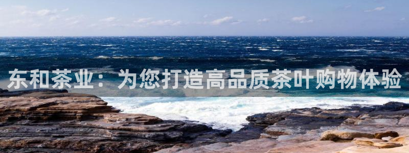 安信12正版下载