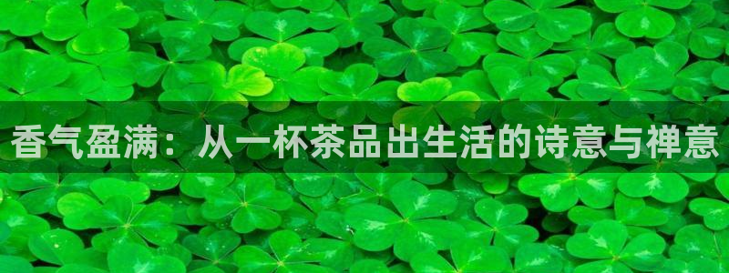 安信12注册登录下戴