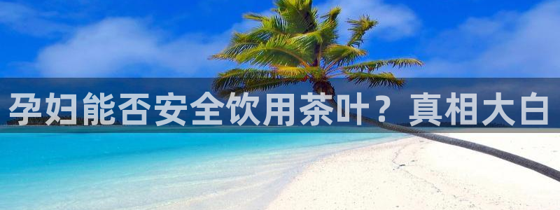 安信12彩票app下载