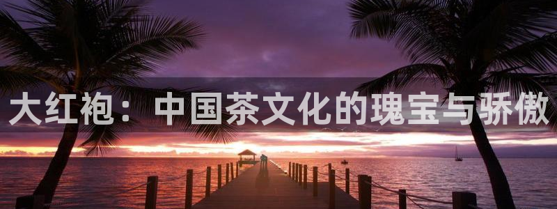 安信12平台可靠吗