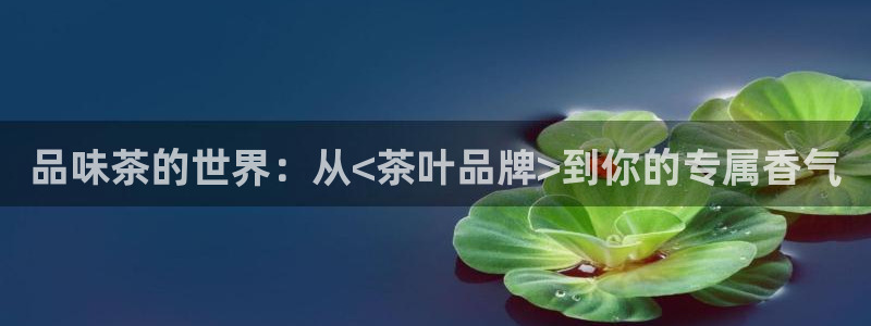 安信12平台怎么样