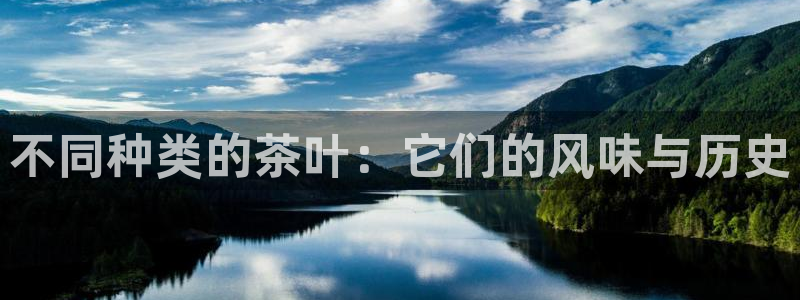 安信证券手机壳12