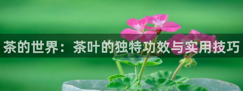 安信12app