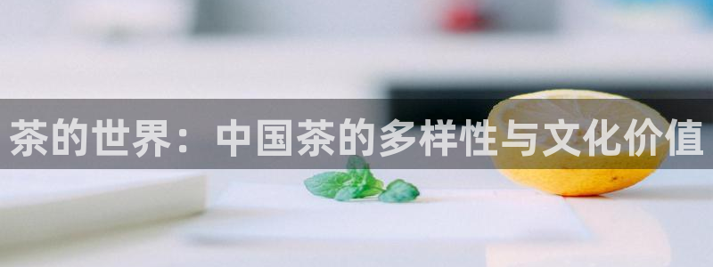 安信t12