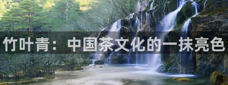 安信12平台最新消息