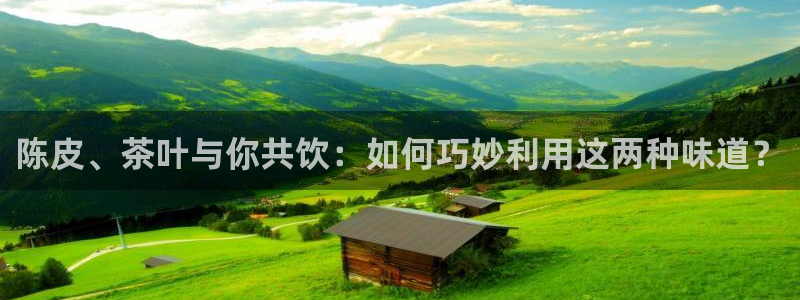 安信12娱乐代理
