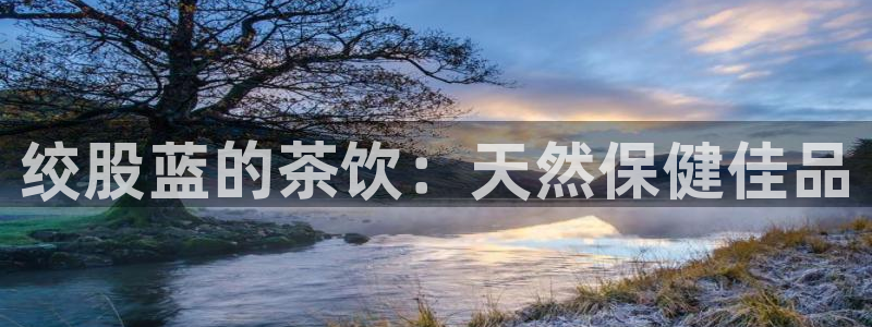 安信卓越12月
