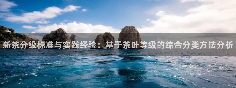 安信12主管