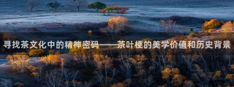 安信可wb12