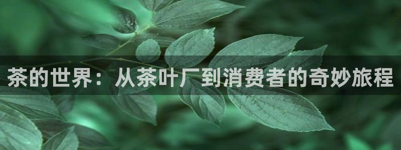 安信12app下载