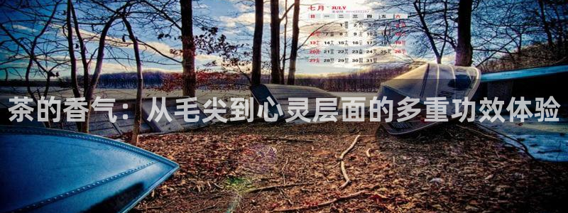 安信可 esp-12