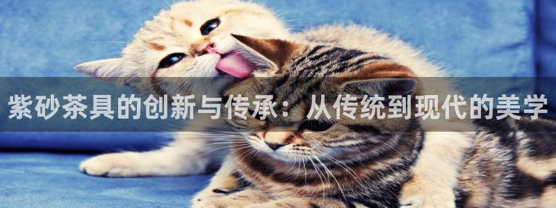 安信4娱乐去55 12