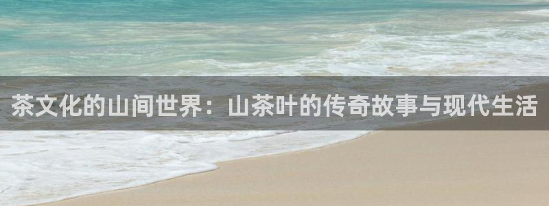 如何注销安信12软件