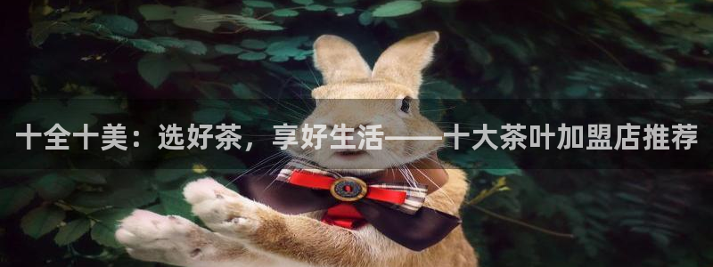 安信12娱乐招商
