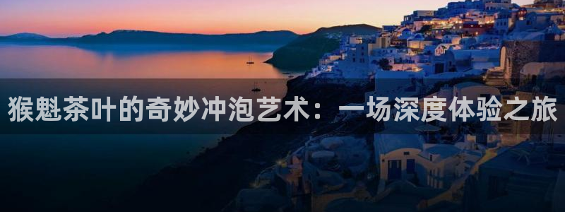安信12代理