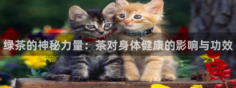 安信12靠谱吗